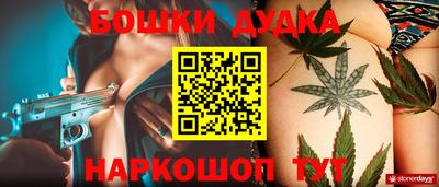 крисы Майкоп