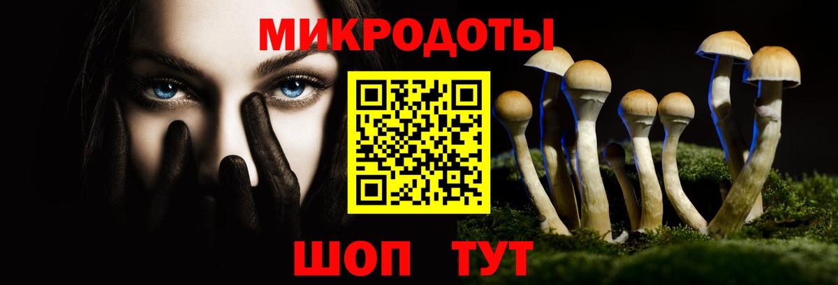 Псилоцибиновые грибы ЛСД Дедовск